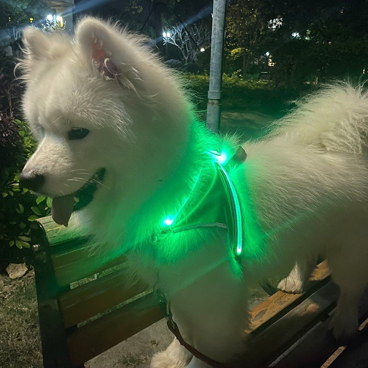 LED Pet Light-Emitting Sling Detachable Dog Reflective Sling Anti-Breakaway Cat Sling USB Charging Models