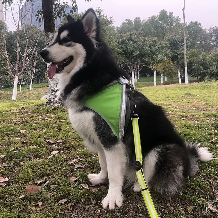 LED Pet Light-Emitting Sling Detachable Dog Reflective Sling Anti-Breakaway Cat Sling USB Charging Models