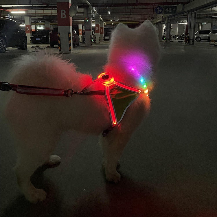 LED Pet Light-Emitting Sling Detachable Dog Reflective Sling Anti-Breakaway Cat Sling USB Charging Models