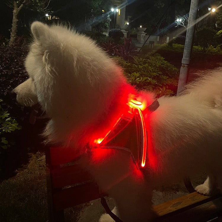 LED Pet Light-Emitting Sling Detachable Dog Reflective Sling Anti-Breakaway Cat Sling USB Charging Models