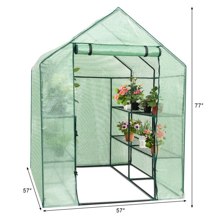 562786661