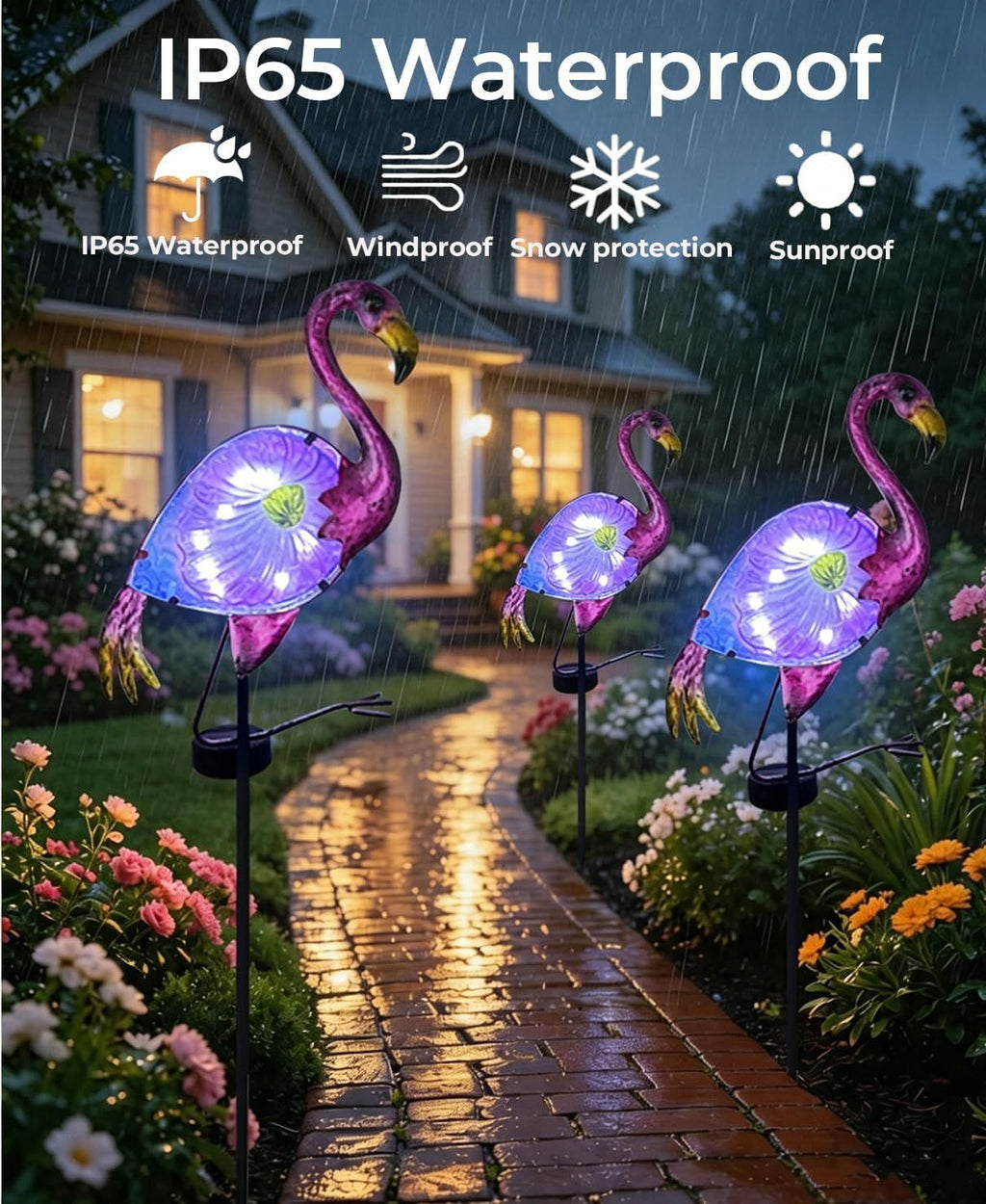 562782461